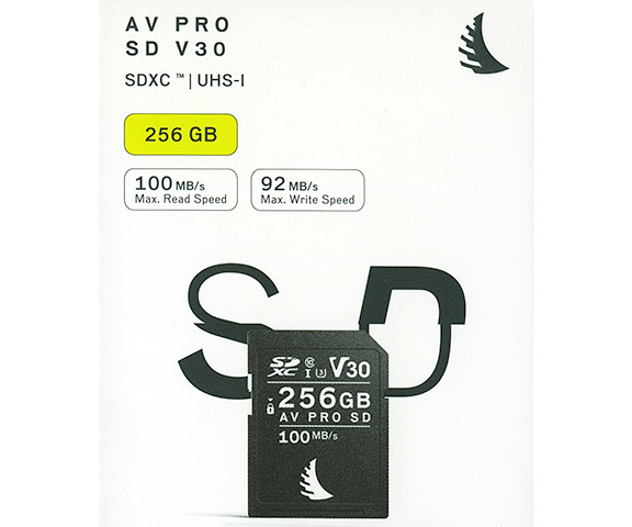 Angel Bird AV PRO V30 256 gb.